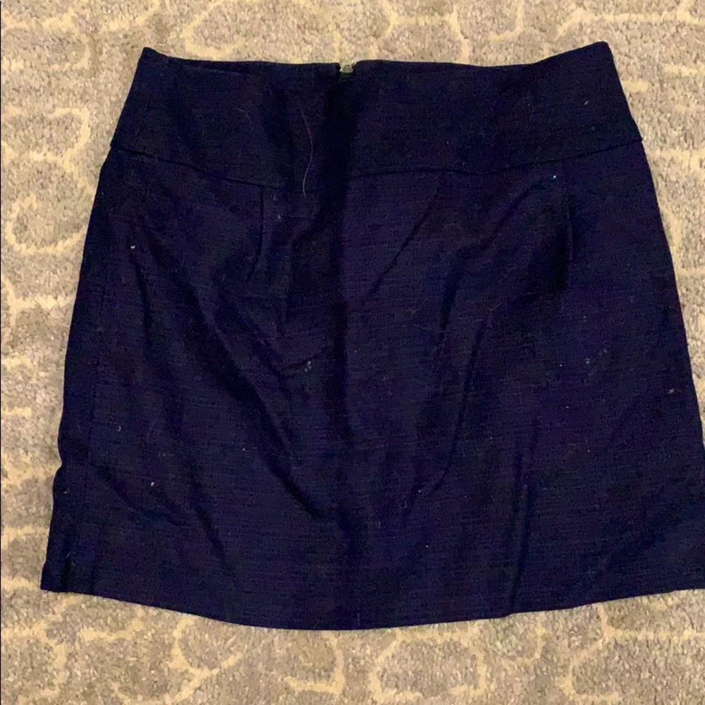 J Crew Skirt